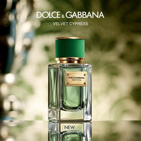 parfum dolce gabbana velvet|dolce and gabbana perfume reviews.